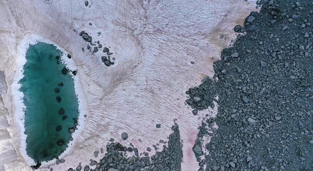 La neve del ghiacciaio in Trentino diventa rosa: le foto sono suggestive, ma si tratta di una pessima notizia