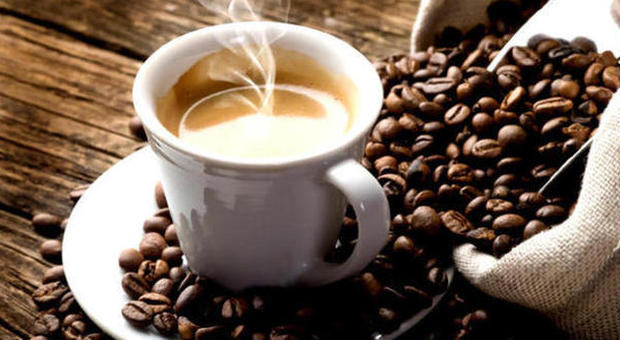 "La caffeina è un veleno, può uccidere" la ricerca choc dagli Stati Uniti