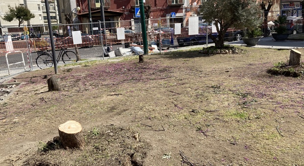 Napoli, lavori in corso San Giovanni: rabbia per i sette alberi abbattuti