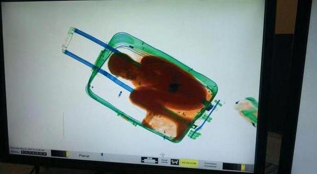 Il bimbo di 8 anni nascosto in valigia per passare la frontiera