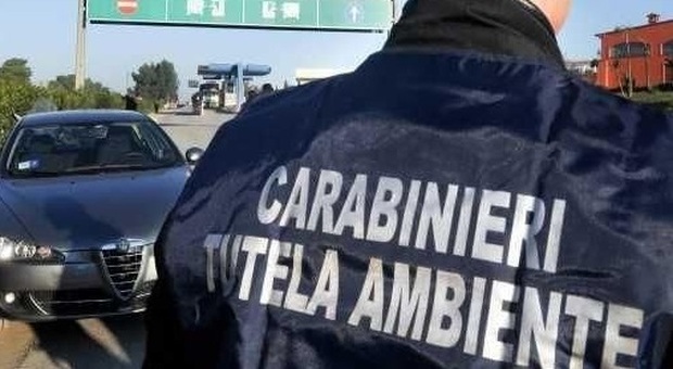 I carabinieri specializzati nella lotta ai reati ambientali