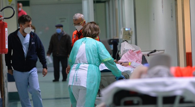 Medico abruzzese positivo viola la quarantena e va a Pordenone alla manifestazione No vax: denunciato con la moglie