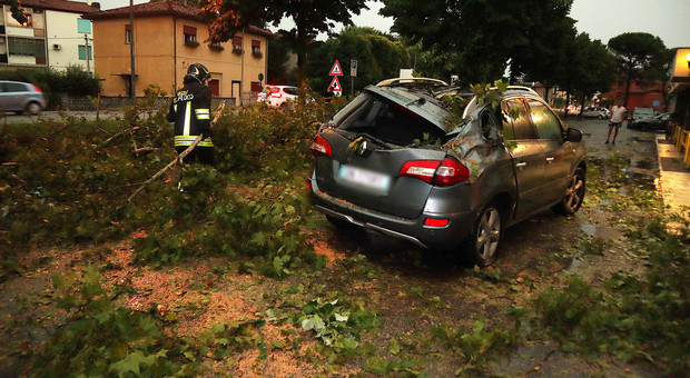 Tempesta nel Pordenonese. Albero schiaccia la parte posteriore dell'auto: due donne miracolate
