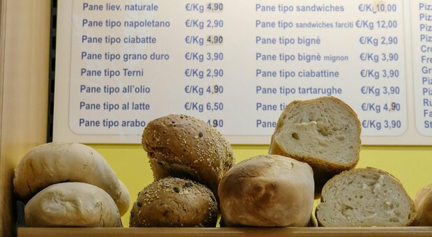La manovra toglie l'Iva su pane e latte, più soldi alle famiglie numerose, pensioni quota 103: le misure al vaglio