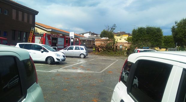 Maltempo, tromba d'aria a P. Corese albero si abbatte su una Fiat 500 e danneggia la recinzione di una scuola