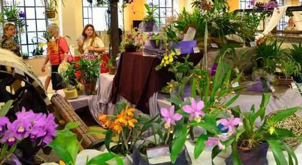 mostra mercato delle orchidee Giardino Jacquard