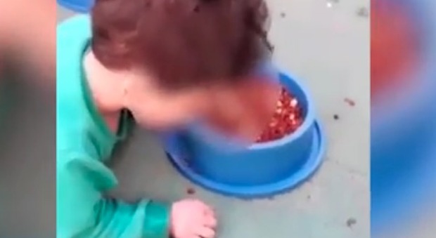 Bimbo di due anni costretto dalla mamma a mangiare il cibo del cane nella ciotola. Il video choc indigna il web (frame Youtube)