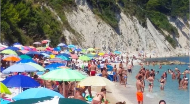 In spiaggia a Portonovo con due pastori maremmani: scoppia la lite, maxi multa alla turista