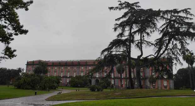 Napoli, cade frammento dalla Reggia di Capodimonte: chiusi il museo e il real bosco