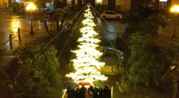 Un albero di Natale in una foto di archivio