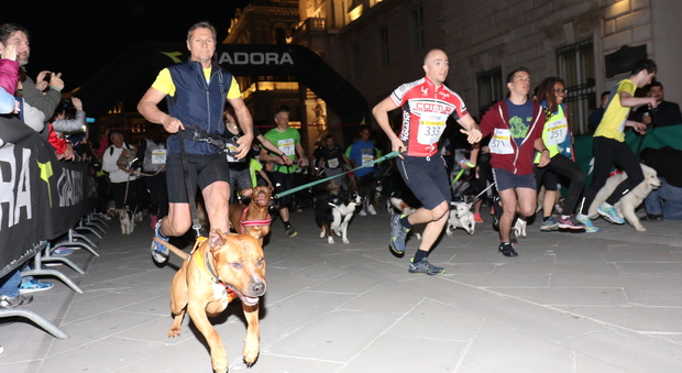 Doggy Run: è record con quasi 400 amici a quattro zampe "di corsa"