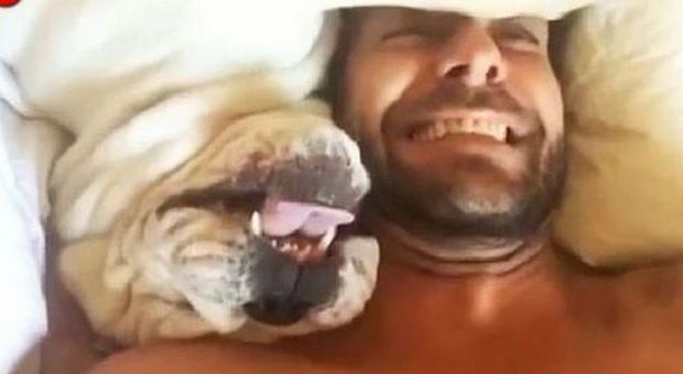 Il Bulldog «parla» nel sonno e non vuole saperne di svegliarsi| Video