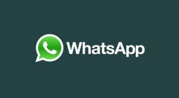 WhatsApp diventa socialmente utile, ecco le nuove funzioni