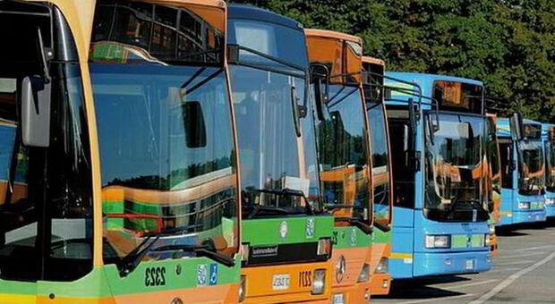 Aggressioni e minacce a bordo: Conerobus denuncia i bulli per interruzione di pubblico servizio