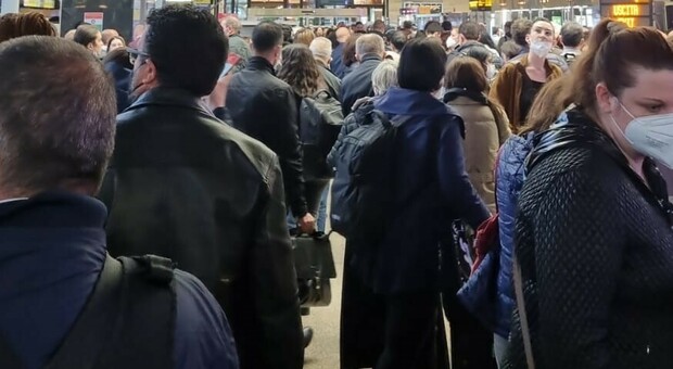 Treni soppressi per un investimento sulla Roma-Cassino, pendolari ciociari bloccati per ore a Termini