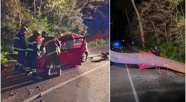 Roma, albero crolla su una macchina in transito: due ragazzi restano incastrati, uno è in codice rosso