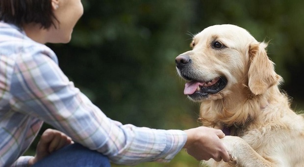 I cani stimolano le stesse emozioni dei figli: lo dice la scienza