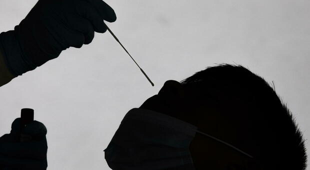 I vaccinati ricoverati per Delta «meno gravi e guariscono prima». La carica virale e il caso Gb-Olanda