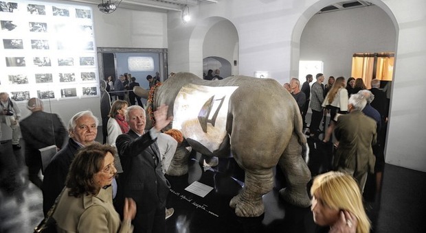 Man Ray e Luis Bunuel fino al 10 dicembre alla galleria d’arte di Rhinoceros