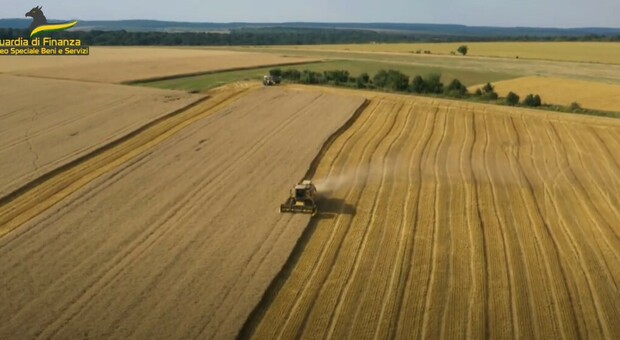 Confezionavano sacchi con grano non certificato: sequestrate 382 tonnellate di cereali in Puglia e Sicilia