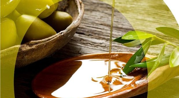 Coldiretti denuncia: l'olio d'oliva tunisino invade l'Italia