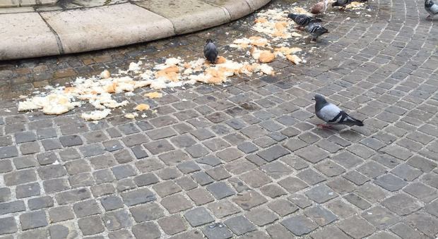 Il pane lasciato ai piccioni in piazza Roma