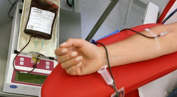 Taranto, emergenza sangue: l'appello dei pazienti