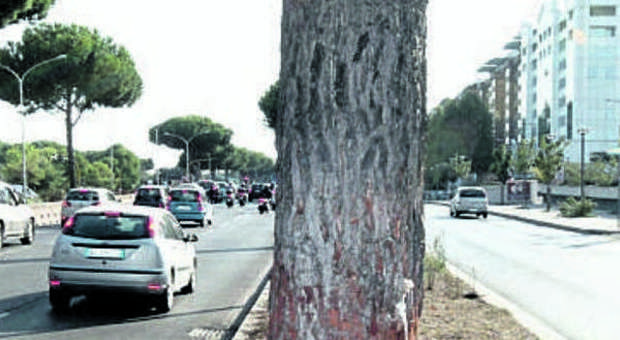 Roma, incidente di Salini sulla Colombo: asfalto sotto accusa