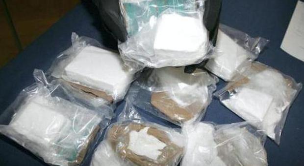 Scende dall'aereo con 7 chili di cocaina: bellunese arrestato