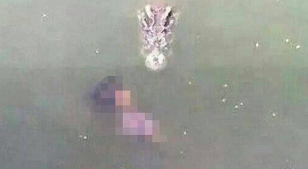 La donna suicida in uno stagno di coccodrilli (Youtube)