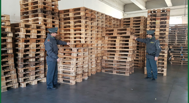 Anche i pallet contraffatti: maxi sequestro della Guardia di Finanza