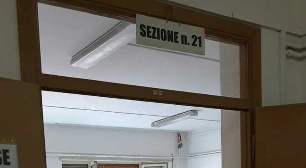 Elezioni a Frosinone: Pd primo partito, seguono la lista Ottaviani e quella Marzi