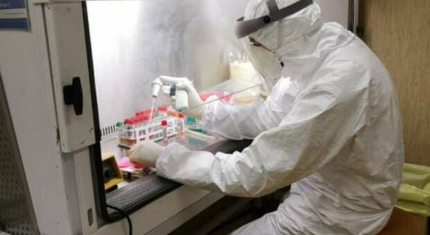 Coronavirus, test rapidi a prof e ragazzi: arrivano i 60 macchinari per le scuole di Puglia