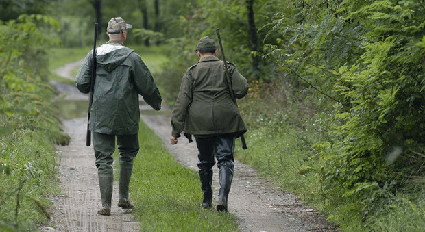 Multe a chi disturba i cacciatori ”Il governo blocca la "legge Berlato"
