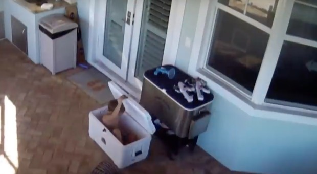 Florida, bimbo si nasconde per gioco nel frigo portatile e resta intrappolato
