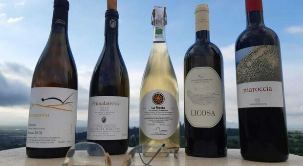 “Vigna Bio” il premio dei vini cilentani a Pollica