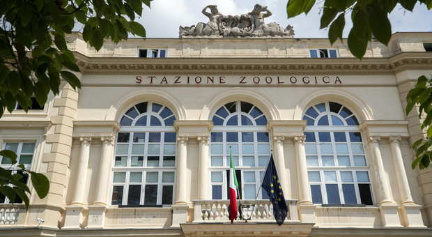 Napoli verso la transazione ecologica: se ne parla nel forum dedicato al museo Dohrn