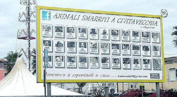 Il maxi cartellone con le foto dei 33 cani spariti a Civitavecchia e dintorni negli ultimi due anni