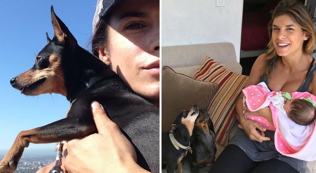 Elisabetta Canalis, il doloroso addio alla cagnolina Mia dopo 16 anni: «Grazie per il tuo amore»