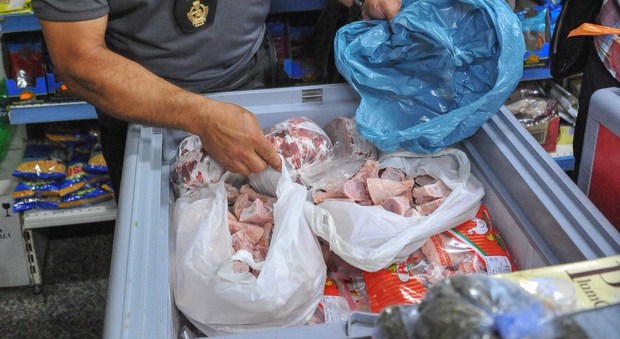 Roma, pesce, funghi e formaggi scaduti: 500 kg di alimenti sequestrati in un bar al Tuscolano