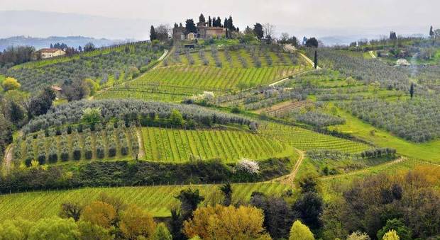 Il Chianti Classico, dal paesaggio al vino, verso il Patrimonio mondiale dell'Unesco