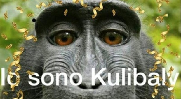 «Io sono Koulibaly» con la scimmia, gli auguri razzisti degli ultrà di Verona