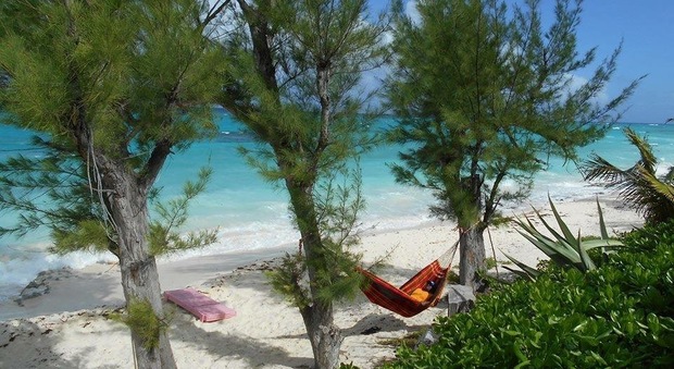 Nel resort oversize alle Bahamas anche le amache sono rinforzate Photo The Resort