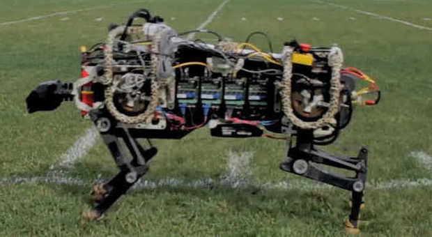 VIDEO| Arriva il robot ghepardo: raggiunge 50 chilometri l'ora