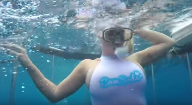 Florida, modella attaccata da uno squalo durante un servizio fotografico sott'acqua