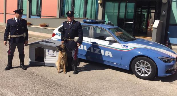 Cane abbandonato sull'A1, salvato e adottato dai poliziotti