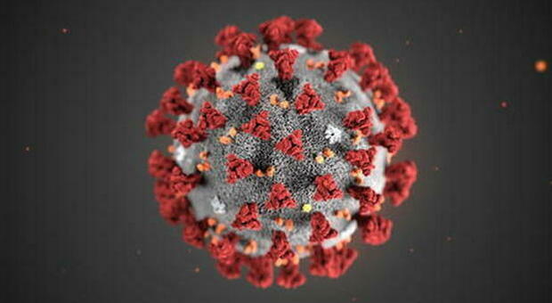 Reinfezioni da coronavirus, tutto ciò che c'è da sapere senza farsi prendere dal panico