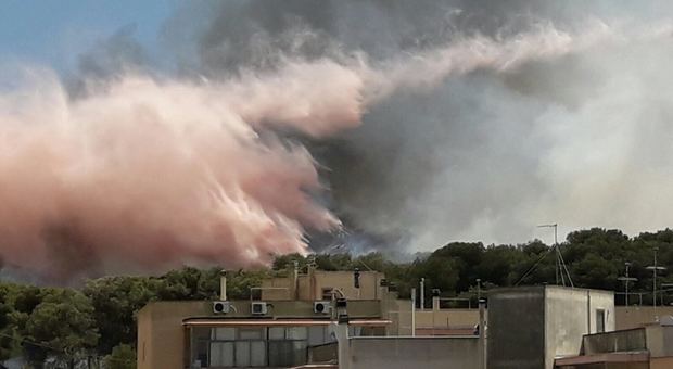 Inferno intorno all'ospedale di Gallipoli. Il sindaco denuncia: «Incendio doloso»
