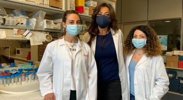 Covid, scoperti nuovi anticorpi nei laboratori del Ceinge-Biotecnologie avanzate di Napoli