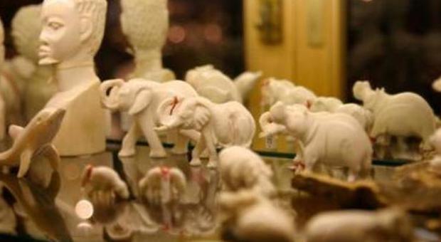 Natale, dalle statue d'avorio alla lana shahtoosh: ecco i regali 'vietati'